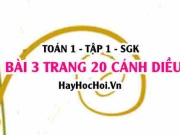 Bài 3 trang 20 Toán 12 tập 1 Cánh Diều